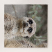 Puzzle Meerkat 082 (Horizontal)