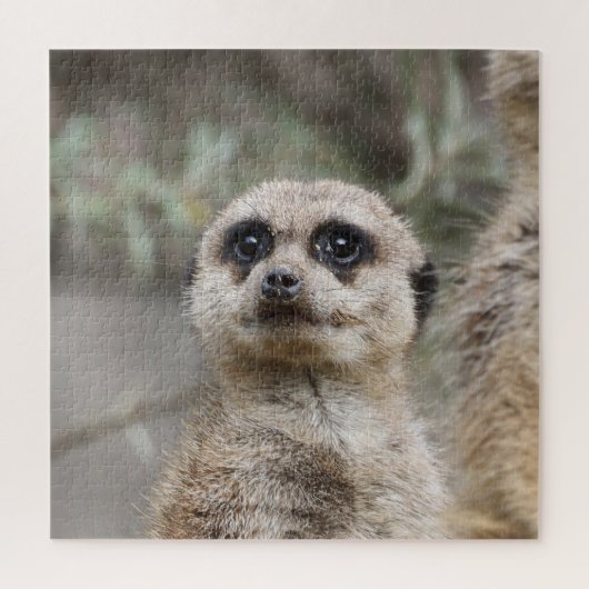 Puzzle Meerkat 082 (Vertical)