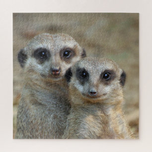 Puzzle Meerkat 085