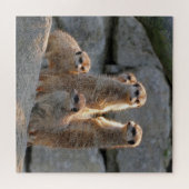 Puzzle Meerkat 110 (Horizontal)