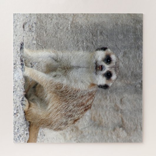 Puzzle Meerkat 134 (Horizontal)