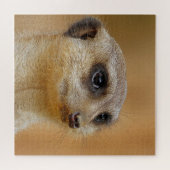 Puzzle Meerkat 154 (Horizontal)
