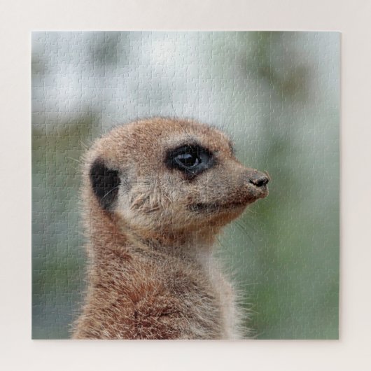 Puzzle Meerkat 180 (Vertical)