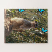 Puzzle Meerkat Et Papillons Bleus, (Horizontal)