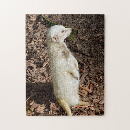 Puzzle Meerkat, fourrure blanche inhabituelle, (Vertical)