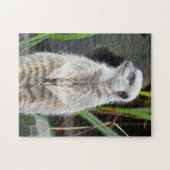 Puzzle Meerkat se tient à l'attention (Horizontal)