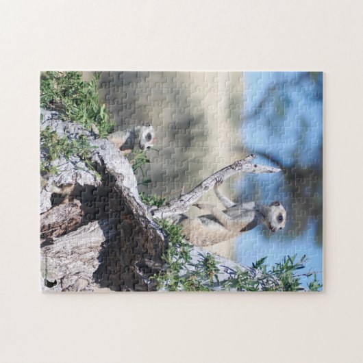 Puzzle - Meerkat Sentinels Legpuzzel (Horizontaal)