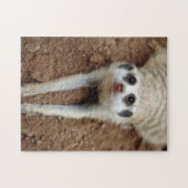 Puzzle Meerkat (Suricata Suricatta) Refroidissement (Horizontal)