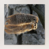 Puzzle Meerkats en miroir (Horizontal)
