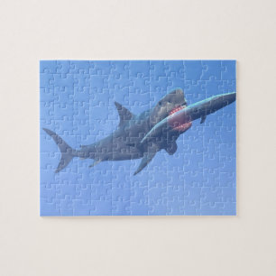 Puzzle Megalodon mangeant une baleine