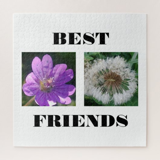 Puzzle Meilleur Modèle d'images des amis (Vertical)