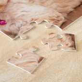 Puzzle Mélange de caniche de bébé ou chiot maltais de (Côté)