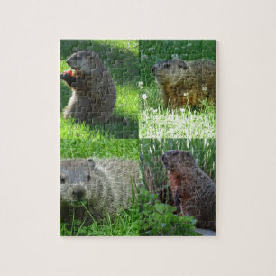 Puzzle Mélange de Groundhog