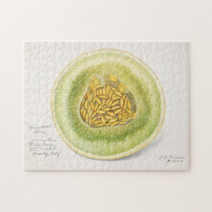 Puzzle Melon (Cucumis Melo) Peinture à l'aquarelle de fru