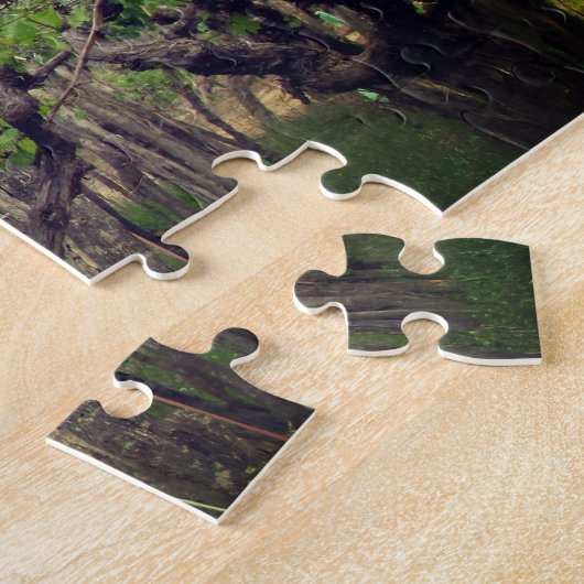 Puzzle mendoza (Côté)