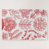 Puzzle Mer d'Algéa rouge, Florideae Rotalgen par Ernst Ha (Horizontal)