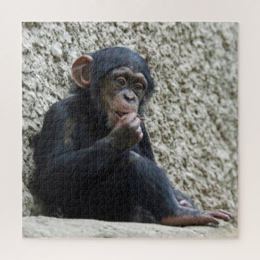 Puzzle Mer de Chimpané 013 (Vertical)