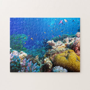 Puzzle Mer de corail - poissons et récif tropicaux -