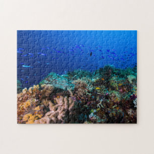 Puzzle Mer de corail - poissons et récif tropicaux -
