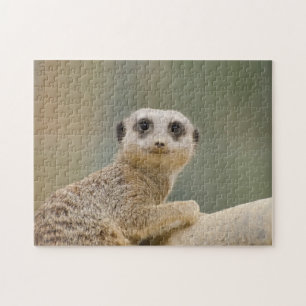 Puzzle Mercats Afrique