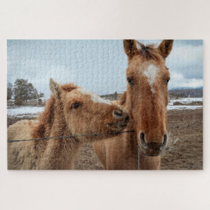 Puzzle Mère Cheval et poulain