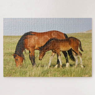 Puzzle Mère de cheval sauvage et poulain paissant