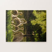 Puzzle Mère et bébé Animal Duck Photographie Animal (Horizontal)