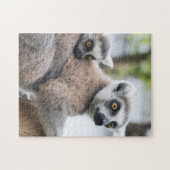 Puzzle Mère et bébé Animal Lemur Photographie Animal (Horizontal)