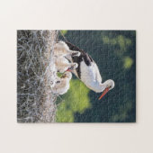 Puzzle Mère et bébé Animal Oiseau Photographie Animal (Horizontal)