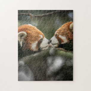 Puzzle Mère et bébé Animal Red Ours Photographie Animal