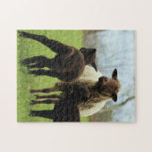 Puzzle Mère et bébé Animal Sheep Photographie Animal (Horizontal)