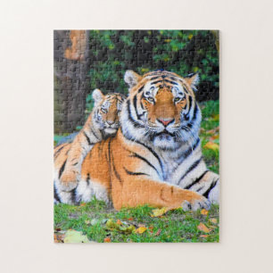 Puzzle Mère et bébé Animal Tigre Photographie Animal