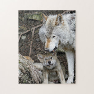 Puzzle Mère et bébé Animal Wolf Photographie Animal