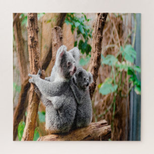 Puzzle Mère et bébé koalas
