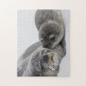 Puzzle Mère Et Bébé Seal Love (Vertical)