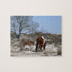 Puzzle Mère et poulain au parc national d'Assateague