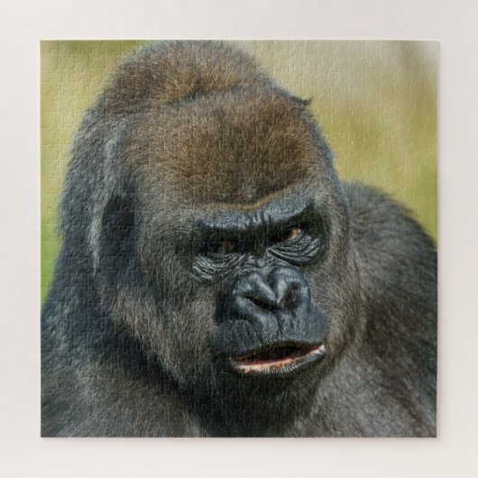 Puzzle Mère Gorilla (Vertical)