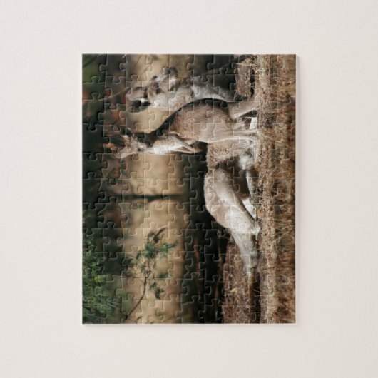 Puzzle Mère Kangaroo et Joey Relaxant (Vertical)