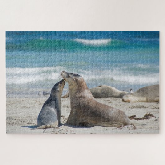 Puzzle Mère & mignonne plage de sealion bébé, 1014 pièces (Horizontal)