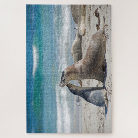 Puzzle Mère & mignonne plage de sealion bébé, 1014 pièces (Vertical)