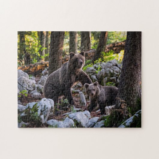 Puzzle Mère Ours Et Cube Slovénie (Horizontal)