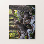 Puzzle Mère Ours Et Cube Slovénie (Vertical)