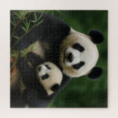 Puzzle Mère panda et petit dans une pluie douce (Horizontal)