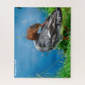 Puzzle Merganser Duck (Vertical)