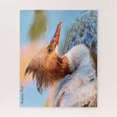 Puzzle Merganser Duck (Vertical)