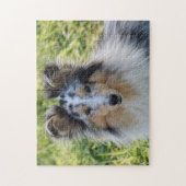 Puzzle Merle Shetland Sheepdog - Chien de Sheltie (Vertical)