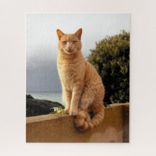 Puzzle Merlin le chat gingembre