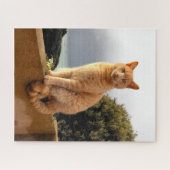Puzzle Merlin le chat gingembre (Horizontal)
