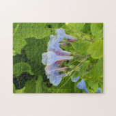 Puzzle Mertensie de Virginie (Horizontal)