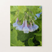 Puzzle Mertensie de Virginie (Vertical)